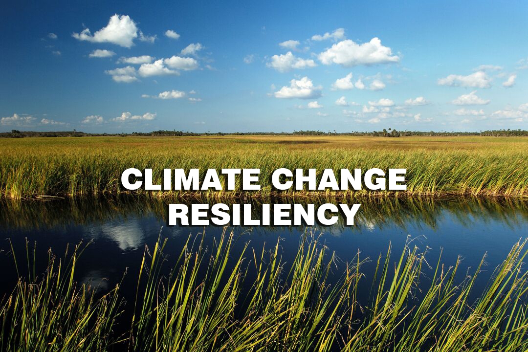 Climate-Change-Resiliency.jpg