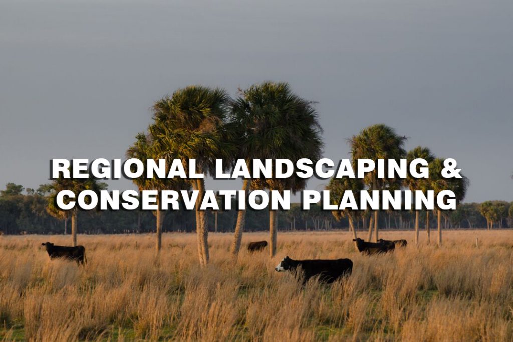 Regional-Landscaping-and-Conservation-Planning.jpg